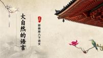 人教部编版八年级下册大自然的语言精品课件ppt