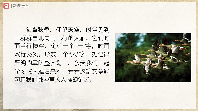 2.7[教学课件]大雁归来第2页