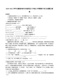 2020-2021学年安徽省亳州市涡阳县八年级上学期期中语文试题及答案