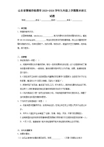 山东省聊城市临清市2023-2024学年九年级上学期期末语文试题(含答案)