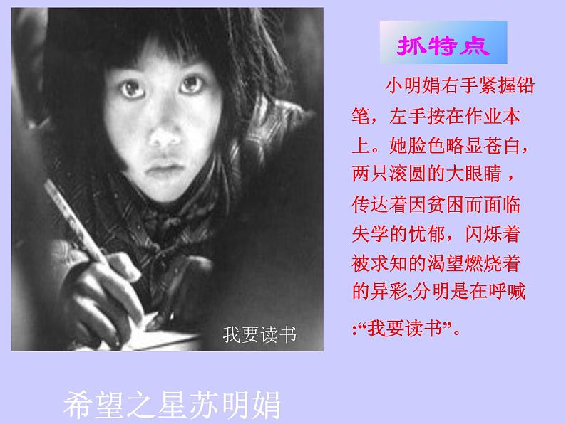 初中中考复习作文辅导外貌描写PPT--众里寻他（她）第8页