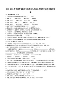 2023-2024学年湖南省岳阳市临湘市八年级上学期期中语文试题及答案