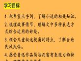 统编版语文八年级下册《社戏》创新教学课件