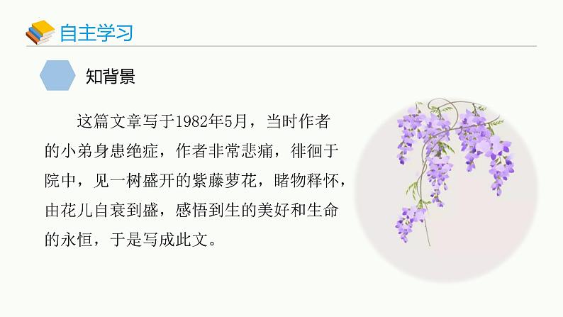 第18课《紫藤萝瀑布》课件 统编版语文七年级下册03