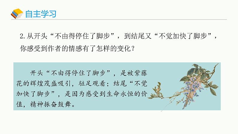 第18课《紫藤萝瀑布》课件 统编版语文七年级下册06