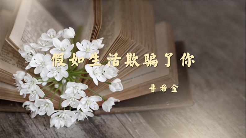 第20课《外国诗二首》课件 部编版语文七年级下册第4页