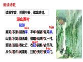 第21课《古代诗歌五首——游山西村、己亥杂诗》课件统编版语文七年级下册