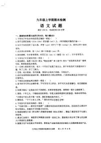 山东省泰安市新泰市2023-2024学年九年级上学期期末检测语文试卷