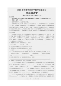 广西壮族自治区来宾市2023-2024学年九年级上学期1月期末考试语文试题