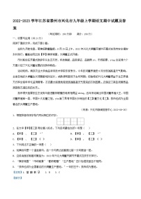 2022-2023学年江苏省泰州市兴化市九年级上学期语文期中试题及答案