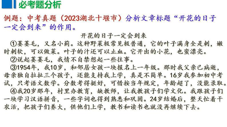 现代文阅读热频考点（课件）2023-2024学年中考冲刺04