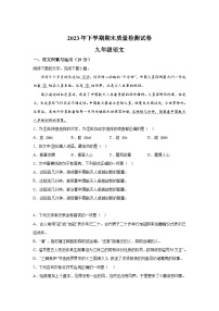 湖南省岳阳市2023-2024学年九年级上册期末语文试题（含解析）