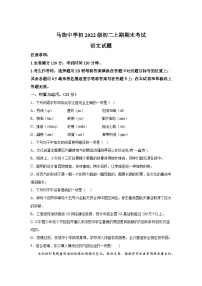 四川省合江县马街中学校2023-2024学年八年级上册期末语文试题（含解析）