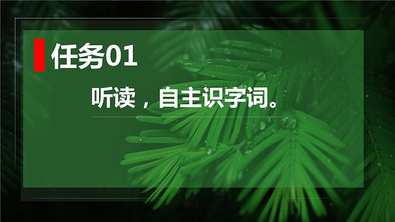 第3课《雨的四季》（教学课件）-2024-2025学年七年级语文上册同步备课精品课件+导学案+教学设计+同步练习（部编版）05