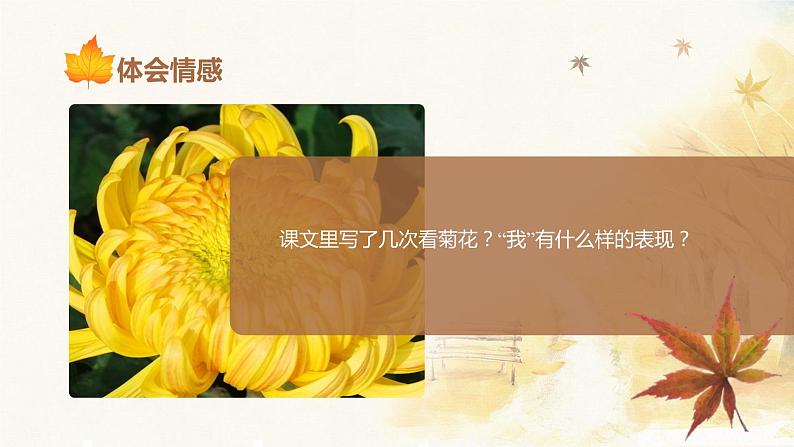 第五课《秋天的怀念》第二课时（教学课件）-2024-2025学年七年级语文上册同步备课精品课件+导学案+教学设计+同步练习（部编版）03