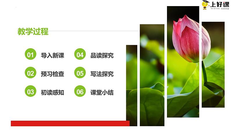 第七课《散文诗二首》（荷叶·母亲）第二课时（教学课件）-【上好课】2022-2023学年2024-2025学年七年级语文上册同步备课精品课件+导学案+教学设计+同步练习（部编版）第3页