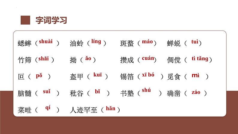 第九课《从百草园到三味书屋》第一课时（教学课件）-2024-2025学年七年级语文上册同步备课精品课件+导学案+教学设计+同步练习（部编版）06