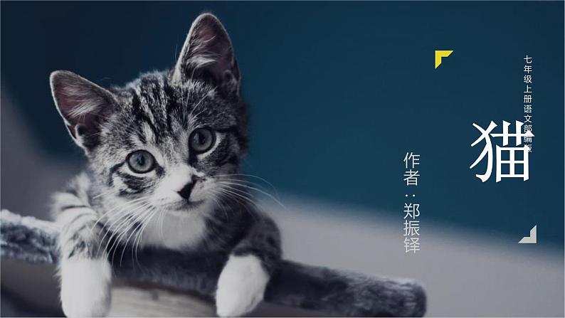 第十六课《猫》第一课时（教学课件）-2024-2025学年七年级语文上册同步备课精品课件+导学案+教学设计+同步练习（部编版）第1页
