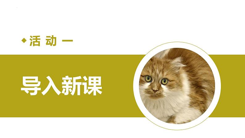第十六课《猫》第一课时（教学课件）-2024-2025学年七年级语文上册同步备课精品课件+导学案+教学设计+同步练习（部编版）第3页