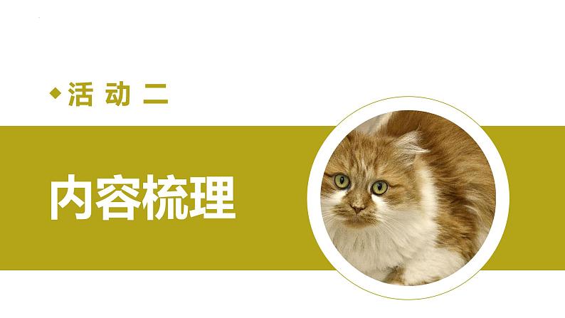 第十六课《猫》第一课时（教学课件）-2024-2025学年七年级语文上册同步备课精品课件+导学案+教学设计+同步练习（部编版）第5页