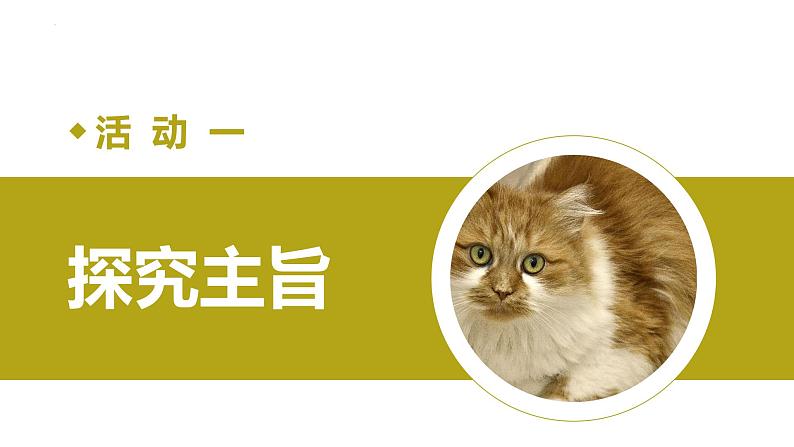 第十六课《猫》第二课时（教学课件）-2024-2025学年七年级语文上册同步备课精品课件+导学案+教学设计+同步练习（部编版）02