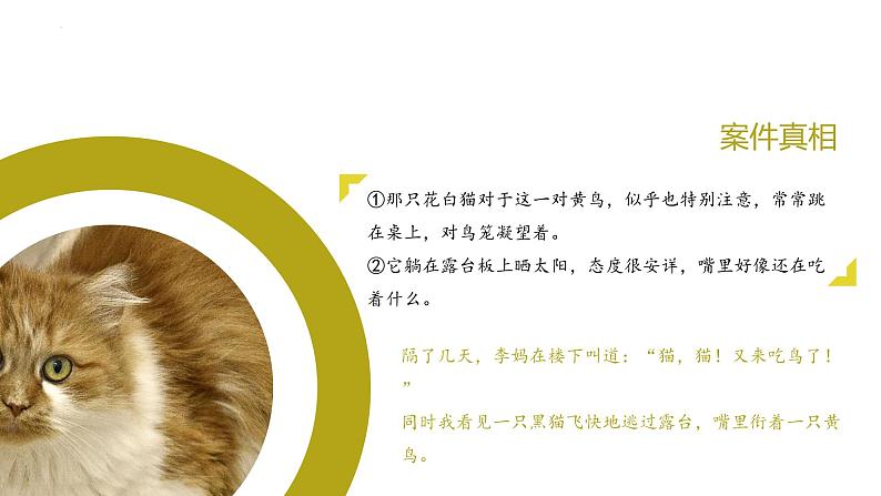 第十六课《猫》第二课时（教学课件）-2024-2025学年七年级语文上册同步备课精品课件+导学案+教学设计+同步练习（部编版）06