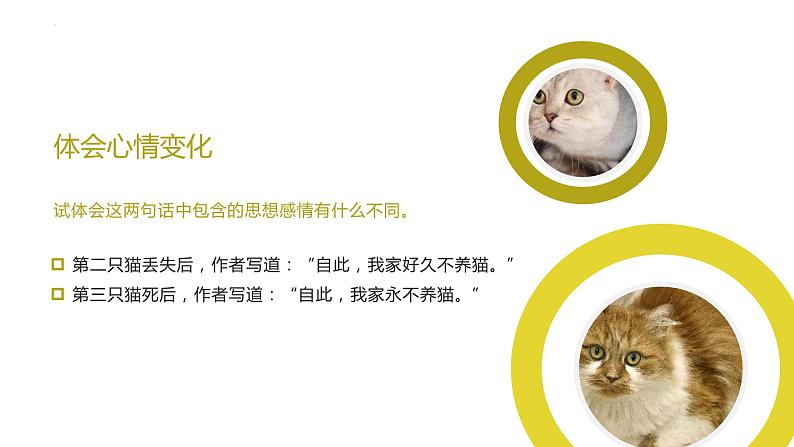 第十六课《猫》第二课时（教学课件）-2024-2025学年七年级语文上册同步备课精品课件+导学案+教学设计+同步练习（部编版）08