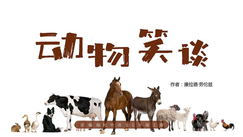 第17课《动物笑谈》（教学课件）-2024-2025学年七年级语文上册同步备课精品课件+导学案+教学设计+同步练习（部编版）01