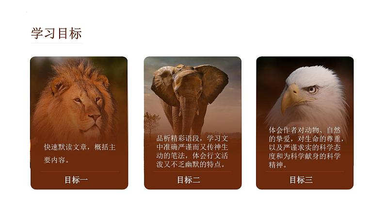 第17课《动物笑谈》（教学课件）-2024-2025学年七年级语文上册同步备课精品课件+导学案+教学设计+同步练习（部编版）02