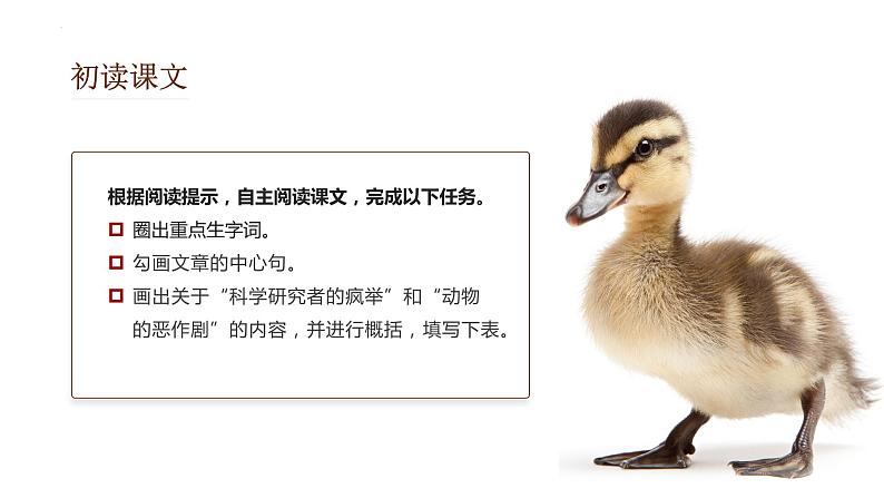 第17课《动物笑谈》（教学课件）-2024-2025学年七年级语文上册同步备课精品课件+导学案+教学设计+同步练习（部编版）05