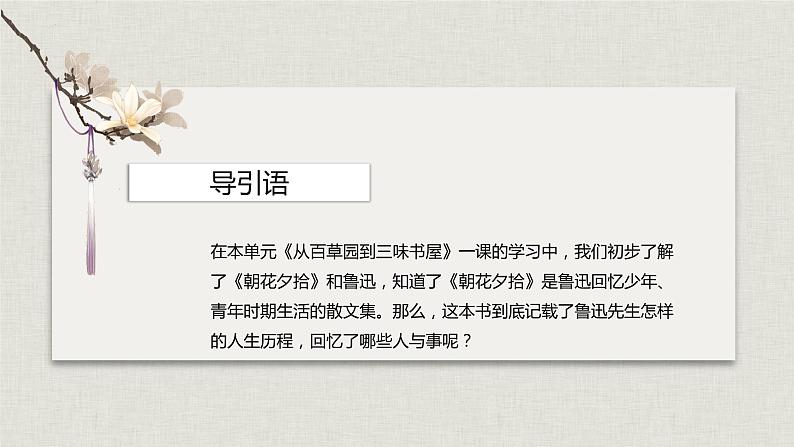 名著导读：《朝花夕拾》消除与经典的隔膜（教学课件）-2024-2025学年七年级语文上册同步备课精品课件+导学案+教学设计+同步练习（部编版）第3页