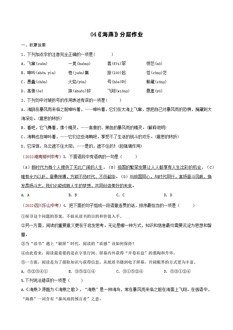 第4课《海燕》（分层练习）-九年级语文下册同步备课系列（部编版）原卷版 第1页