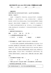 重庆市南川区2023-2024学年九年级上学期期末语文试题(含答案)