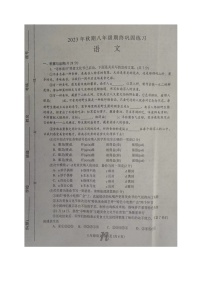 河南省南阳市南召县2023-2024学年八年级上学期1月期末语文试题