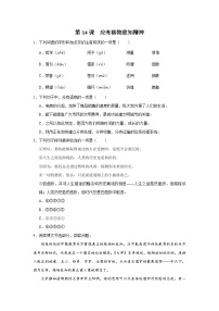 人教部编版八年级下册应有格物致知精神习题