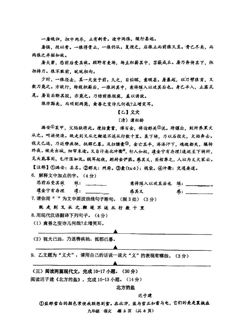 江苏省宿迁市宿城区南京师范大学附属中学宿迁分校2023-2024学年九年级上学期1月期末语文试题03