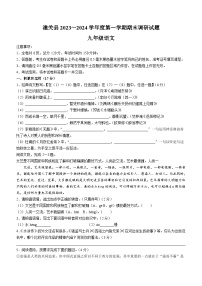 陕西省渭南市某地区2023-2024学年九年级上学期期末语文试题