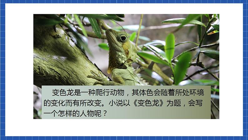 6《变色龙》第一课时课件+教案+素材+练习02