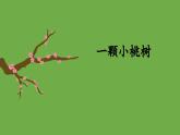 七年级下册《一棵小桃树》优创教学课件