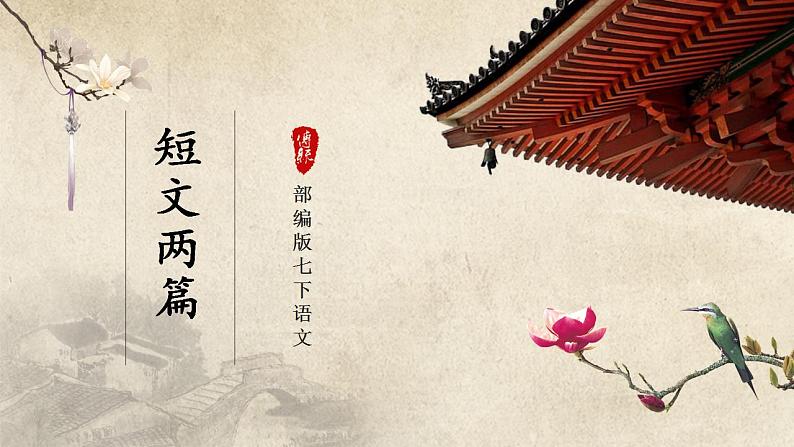 人教部编版七下语文  17《短文两篇》《爱莲说》 课件+教案+学案01