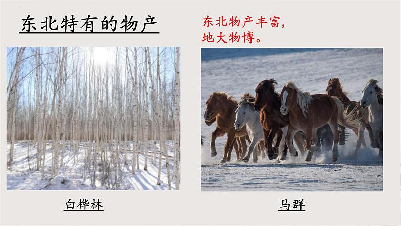 部编版语文七年级下册 8《土地的誓言》 同步课件02
