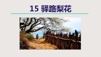 人教部编版七年级下册驿路梨花获奖ppt课件