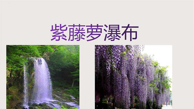 部编版语文七年级下册 第18课《紫藤萝瀑布》 同步课件第2页