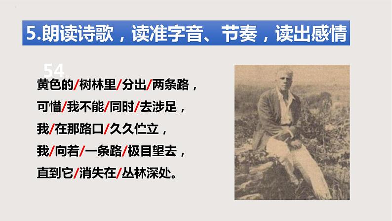 部编版语文七年级下册 《未选择的路》 同步课件+音视频素材07