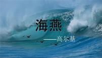 初中人教部编版海燕完美版ppt课件