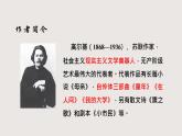 部編版語文九年級(jí)下冊 04 海燕 同步課件+音視頻素材