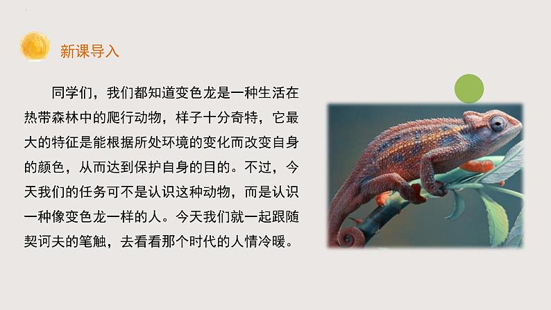 部编版语文九年级下册 06 变色龙 同步课件第1页
