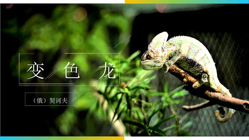 部编版语文九年级下册 06 变色龙 同步课件第2页