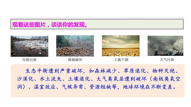 部编版语文八年级下册 综合性学习：倡导低碳生活 同步课件第5页