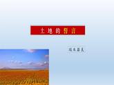 8《土地的誓言》优质课课件-2023-2024学年七年级语文下册（部编版）